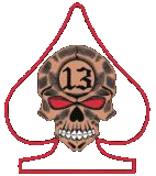 Logo 13er Biker